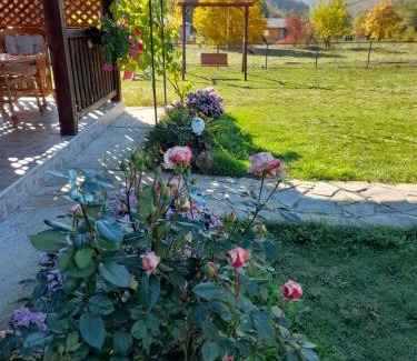 Mokra Gora Apartment | Apartman Petar