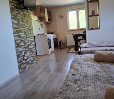 Mokra Gora Apartment | Apartman Petar