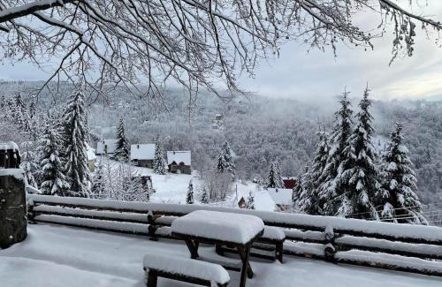 Kopaonik Apartment | Apartman Planinska kuća Savić, Kopaonik