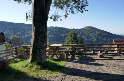 Kopaonik Apartment | Apartman Planinska kuća Savić, Kopaonik