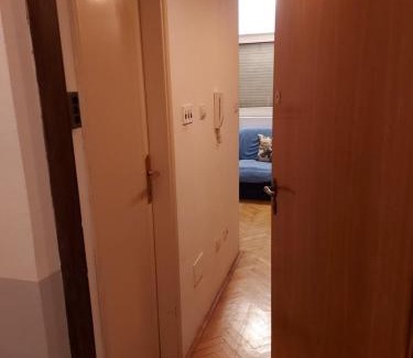 Maini Apartment | Apartman Vuk