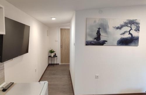 Mostar Old Town Apartment | Apartmani Adi