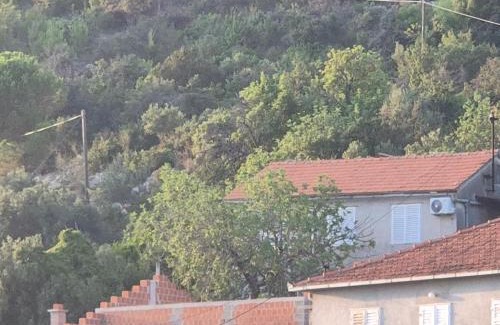 Veliki Drvenik Apartment | Apartmani Aurelia