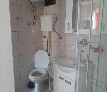 Banja Koviljaca Apartment | Apartmani Lukic 2