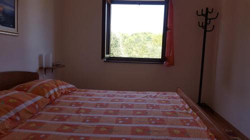 Cove Basina (Jelsa) Apartment | Apartmani Ruk