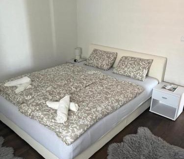 Petrcane Apartment | Apartmani Sollei