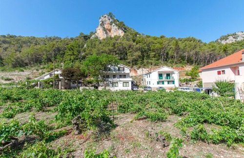 Zastrazisce Apartment | Apartments and Rooms Stjepan (31771-A7) - Zastrazisce - island Hvar