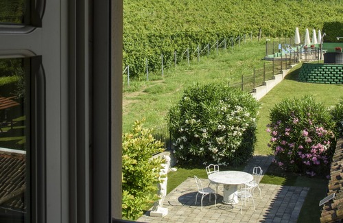 Santo Stefano Belbo Apartment | Apartment Premium with pool view