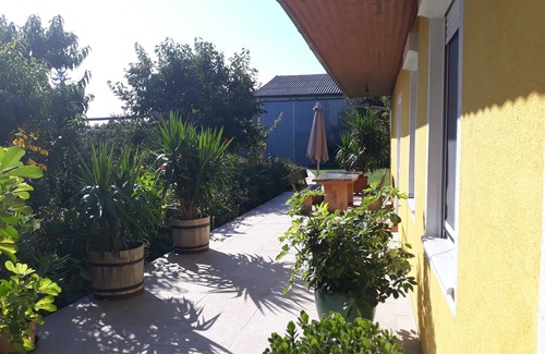Sankt Andra am Zicksee Apartment | Apartments Sattler 3 | handicapped accessible | pets | family-friendly