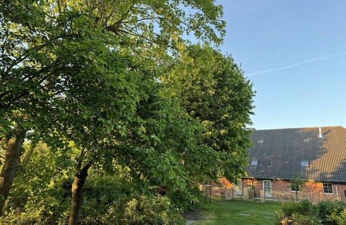 Butjadingen Apartment | Apartment 4, 1 bedroom, shower/WC ground floor - Kastanienhof