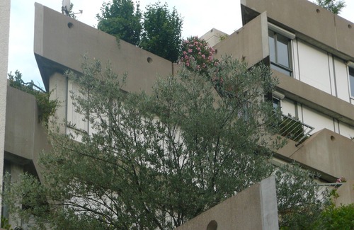 Plaine Centre Ville Apartment | apartment 63 m2 (2 bedrooms and 3 terraces) in GIVORS