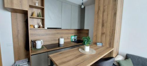 Jahorina Apartment | Apartment A1 1 Aparthotel Vucko Private host