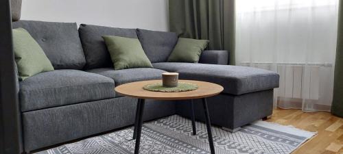 Jahorina Apartment | Apartment A1 1 Aparthotel Vucko Private host