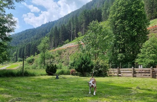 Pinzolo Apartment | Apartment 'Adamello 7' with Wi-Fi