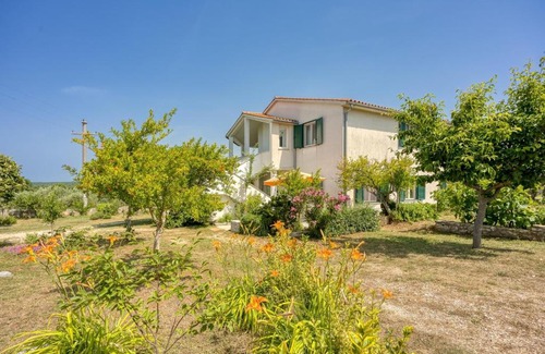 Sveti Lovrec Apartment | Apartment Ana with Balcony