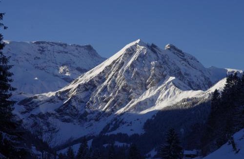 Adelboden Apartment | Apartment Anno Domini by Interhome