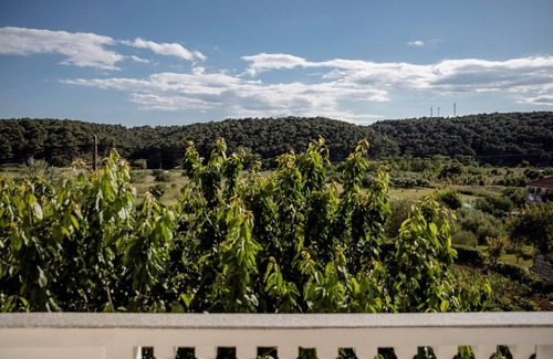 Suha Punta Apartment | Apartment Ante A1 Kampor