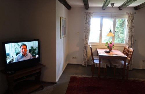 Feldberg Apartment | Apartment Blechnerhof-1 by Interhome