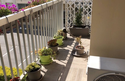 Bonneveine Apartment | Apartment bonneveine lapin blanc 400 m from the sea 4 persons 68m2