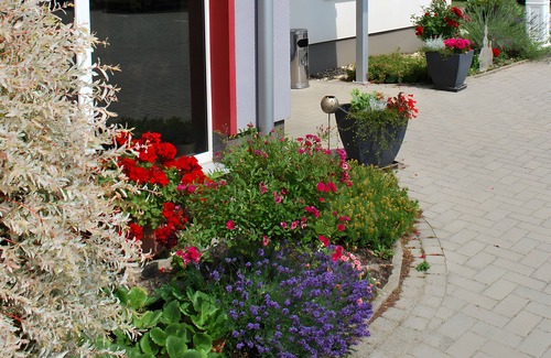 Willich Apartment | Apartment 'Brangshof' with Shared Terrace, Balcony and Wi-Fi