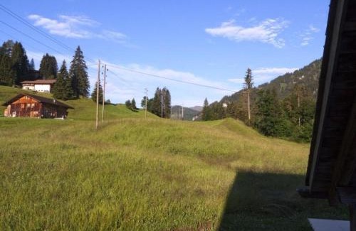Adelboden Apartment | Apartment Burn- Alte Strasse by Interhome