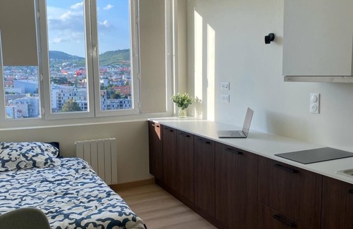 Clermont Ferrand City Centre Apartment | Apartment Cosy Clermont Centre, Pet friendly !