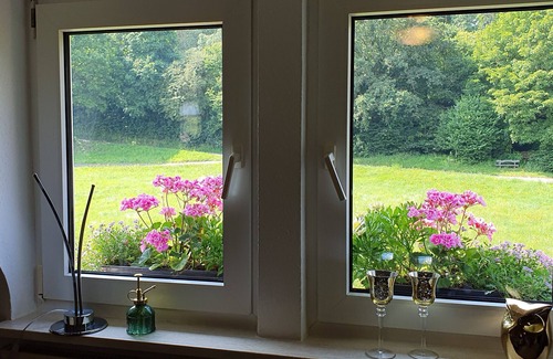 Naumburg Apartment | Apartment 'D Und R Schwesternherz' with Wi-Fi