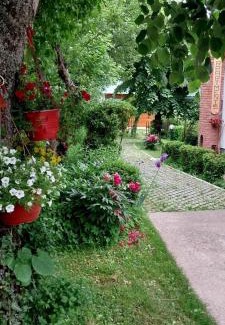 Kolasin Apartment | Apartment Dulovine