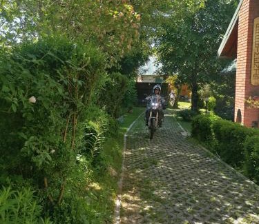 Kolasin Apartment | Apartment Dulovine