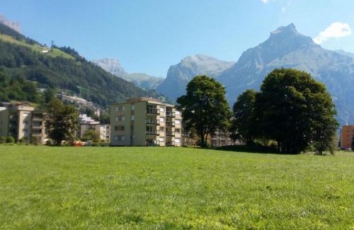 Engelberg Apartment | Apartment Erlenrain Wohnung 911 by Interhome