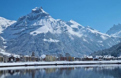 Engelberg Apartment | Apartment Erlenrain Wohnung 911 by Interhome