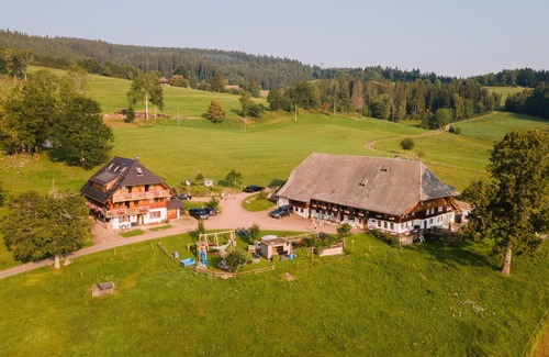 Hinterzarten Apartment | Apartment 'Feldberg' with Shared Garden, Balcony and Wi-Fi