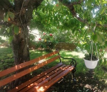 Susica Apartment | Apartment Ferara
