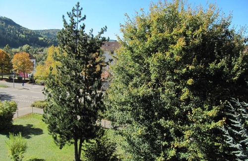 Albstadt Apartment | Apartment 'Ferienwohnung Zollernalb' with Balcony and Wi-Fi