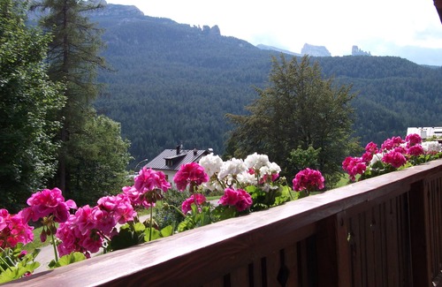 Cortina d'Ampezzo Apartment | Apartment/flat - Cortina d'Ampezzo