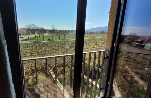 Maikammer Apartment | Apartment/flat, shower, WC, 2 bedrooms - VineSinn