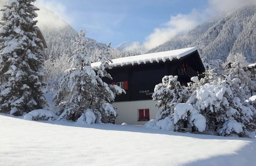 Ried-Brig Apartment | Apartment for 4 people in Chalet Esher Surrey