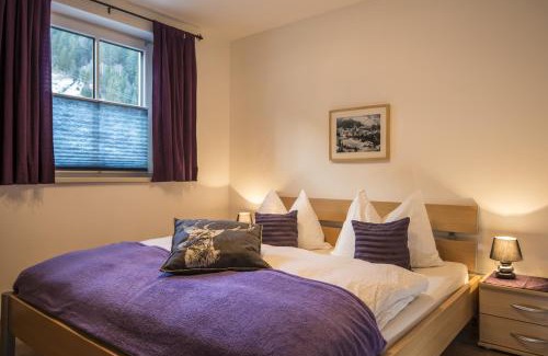 Bad Gastein Apartment | Apartment Gschwandtner Haus Stoareich