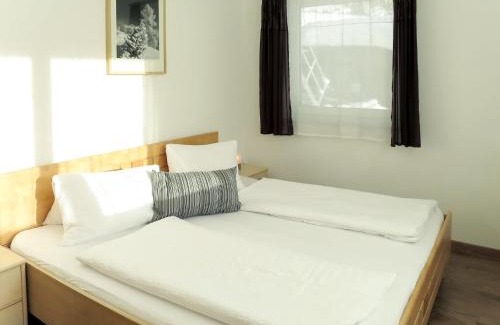 Ramsau im Zillertal Apartment | Apartment Hanser by Interhome