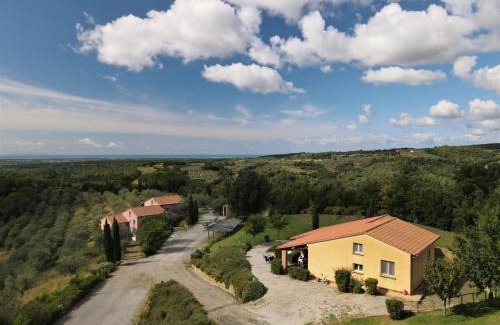 Riparbella Apartment | Apartment Il Felciaione-14 by Interhome