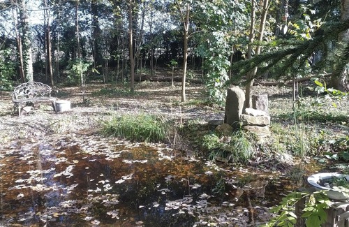 Boofzheim Apartment | Apartment in a house in the middle of nature and close to Europapark