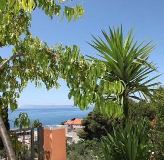 Podgora Apartment | Apartment in Podgora with sea view, terrace, air conditioning, WiFi 849-1