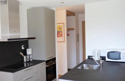 Nendaz Apartment | Apartment in Switzerland with Private Balcony