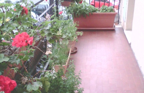 San Martino Apartment | Apartment in the City a few minutes from the sea. AirConditioned. Free WiFi.