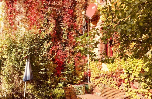 Halle Apartment | Apartment in the Wilhelminian style house