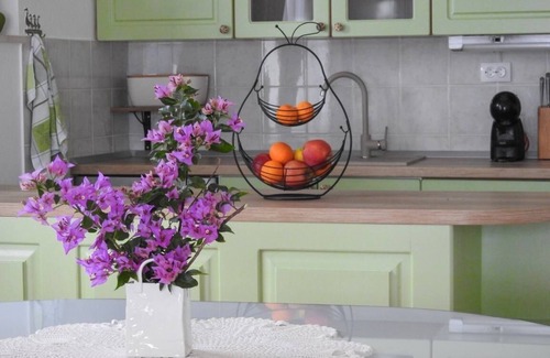 Viganj Apartment | Apartment in Viganj with Seaview, Terrace, Air condition, WIFI (3870-1)