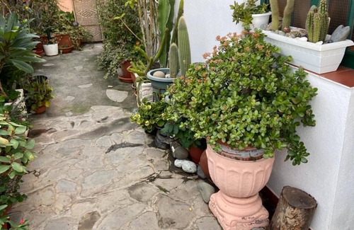 Arecida Apartment | Apartment 'Isabel' with Sea View, Shared Terrace and Wi-Fi