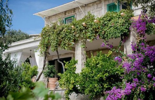 Novo Selo Apartment | Apartment Jasna - cozy apartment in a peaceful area A1 Selca, Island Brac