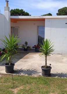 Suha Punta Apartment | Apartment Kristofor Rab