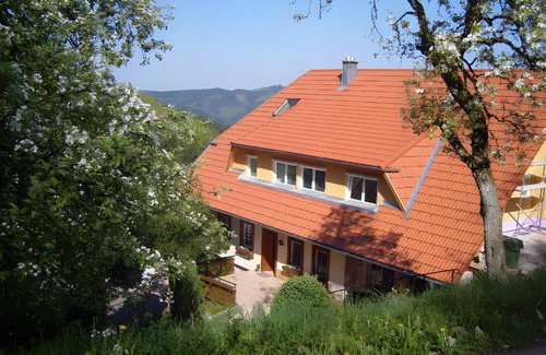 Oberharmersbach Apartment | Apartment 'Langenberghof' with Private Garden and Wi-Fi